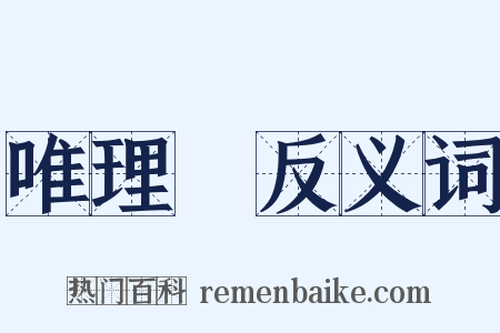 唯理論反义词是什么意思的图片